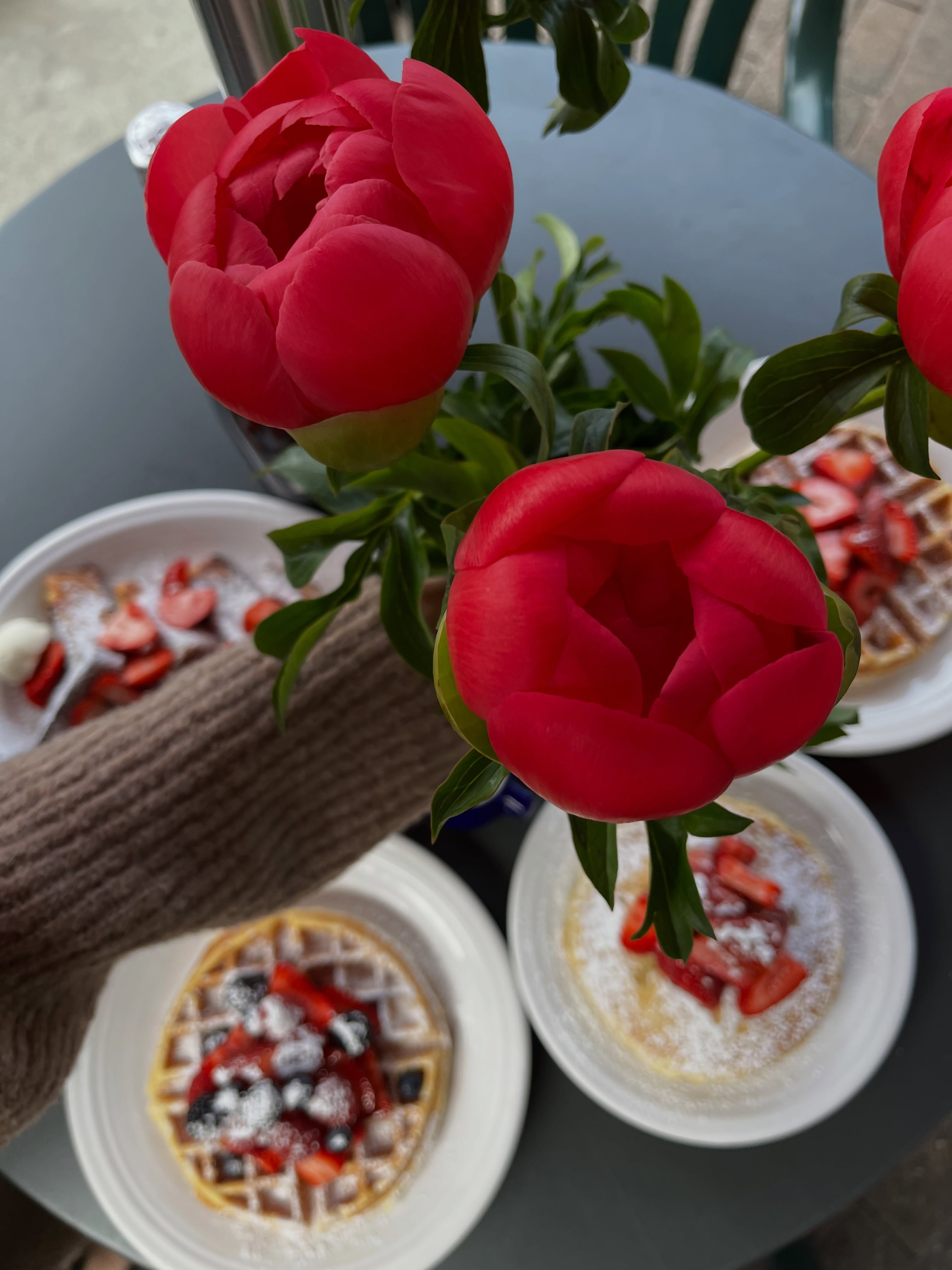 Red peonies on the table with waffles in the background